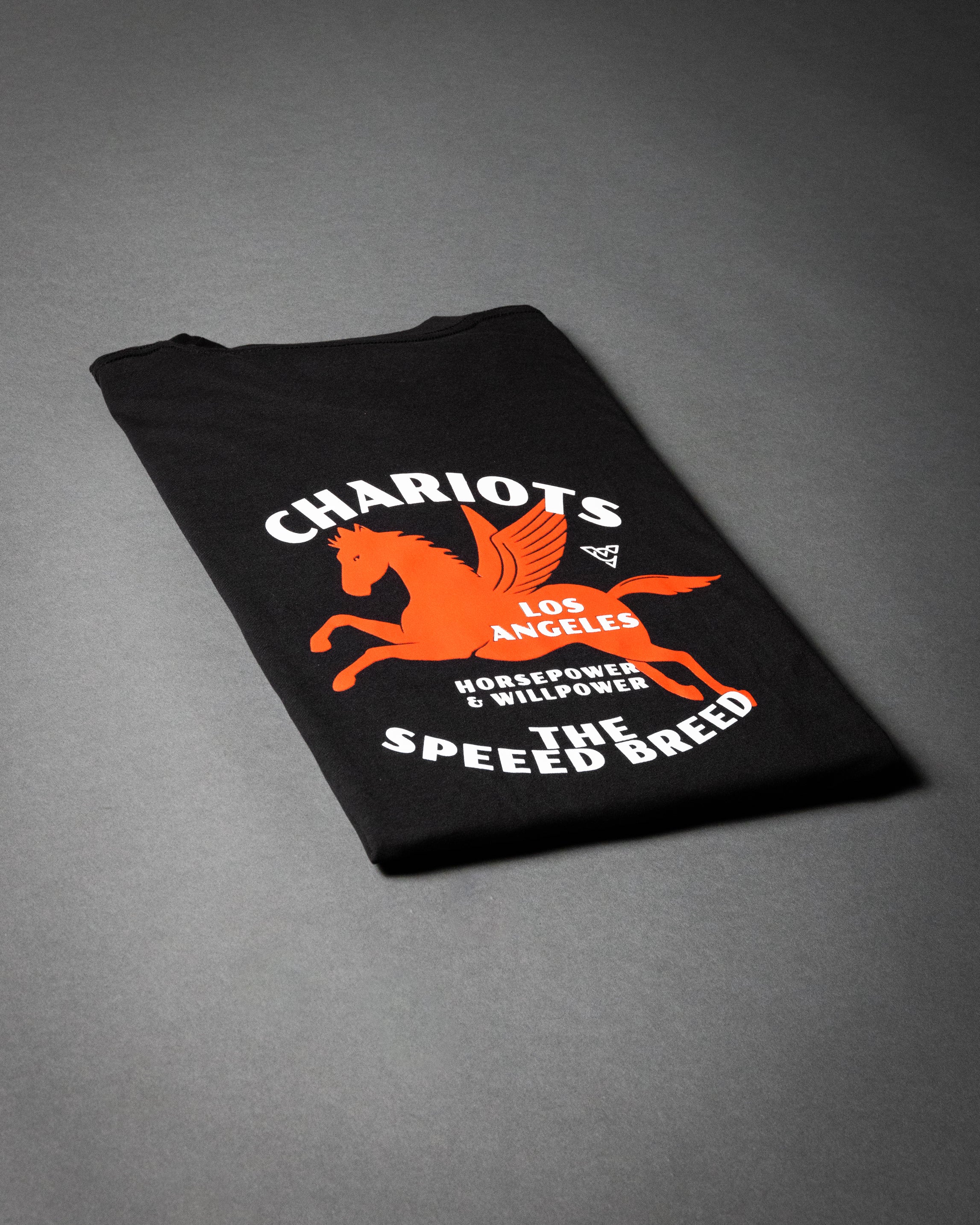 PEGASUS TEE (Black)