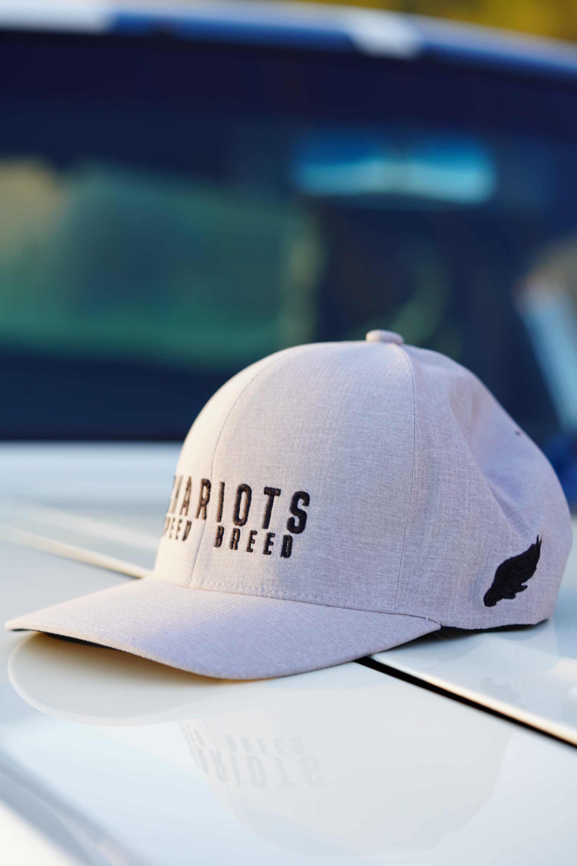 APEX FLEXFIT DELTA HAT (Melange Silver/Black)