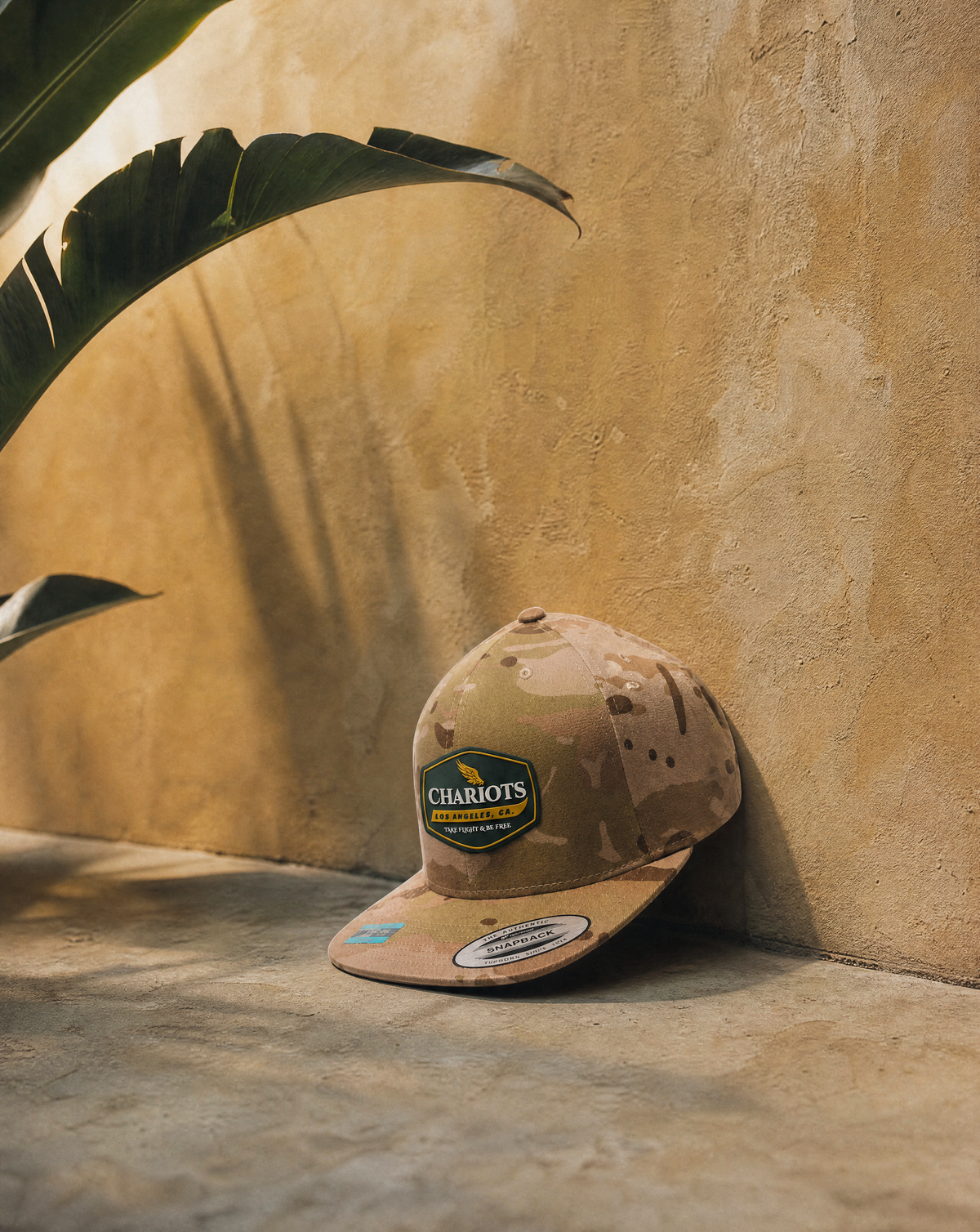 A tan and brown camouflage flat-brim cap with a Chariots logo patch, leaning against a textured beige stucco wall with a large green leaf casting shadows.