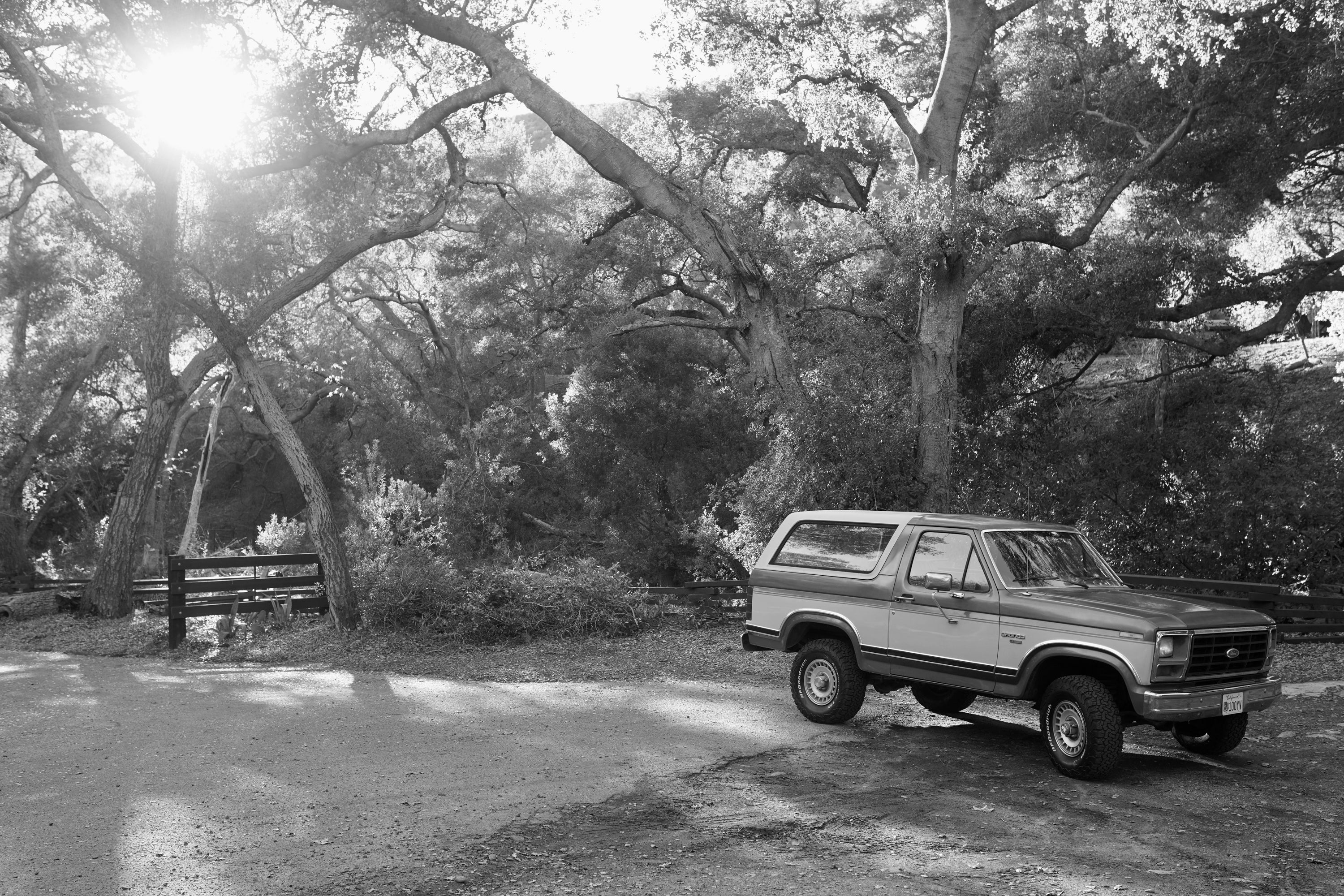 1986 Ford Bronco
