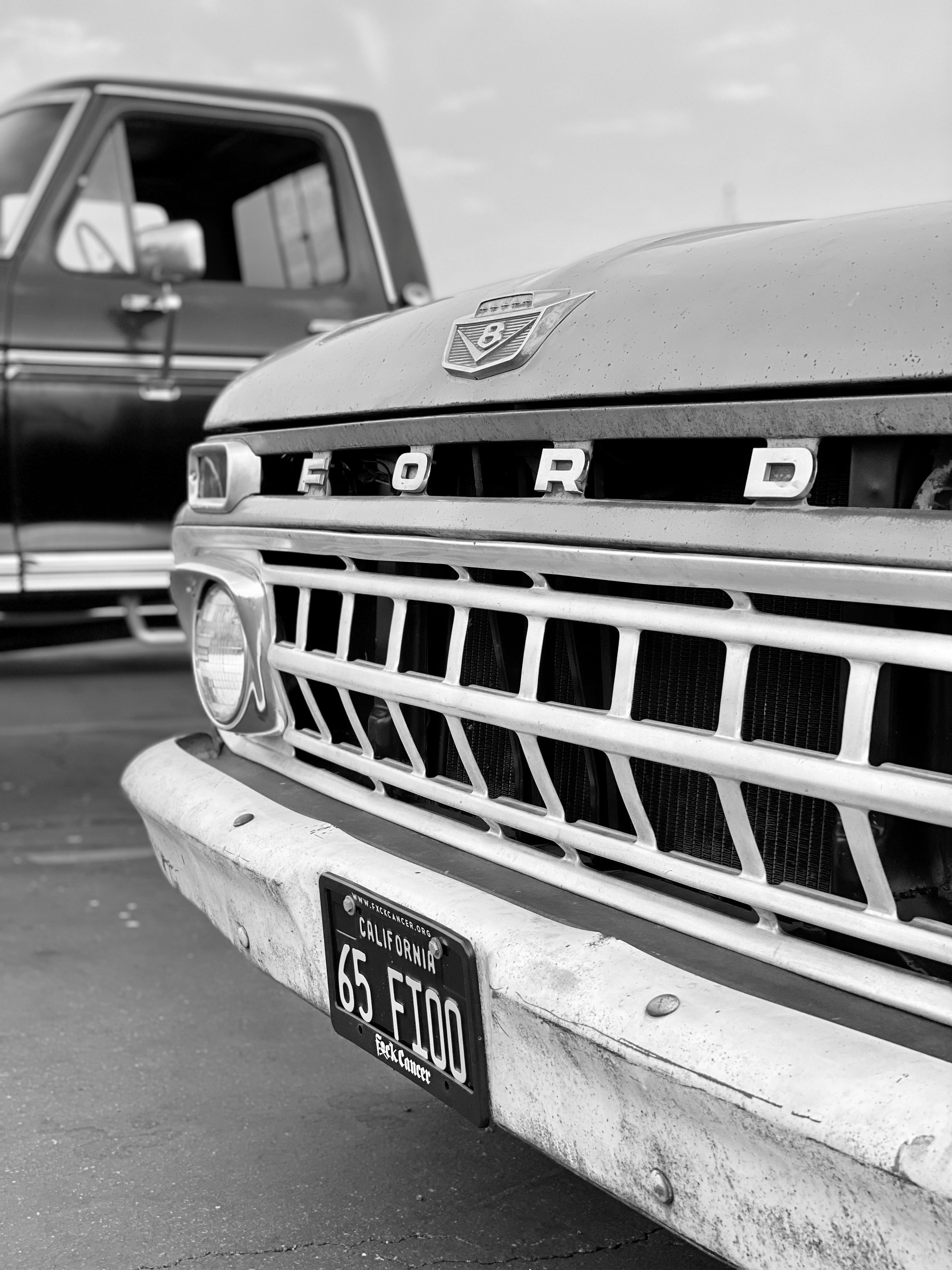 Three Fords