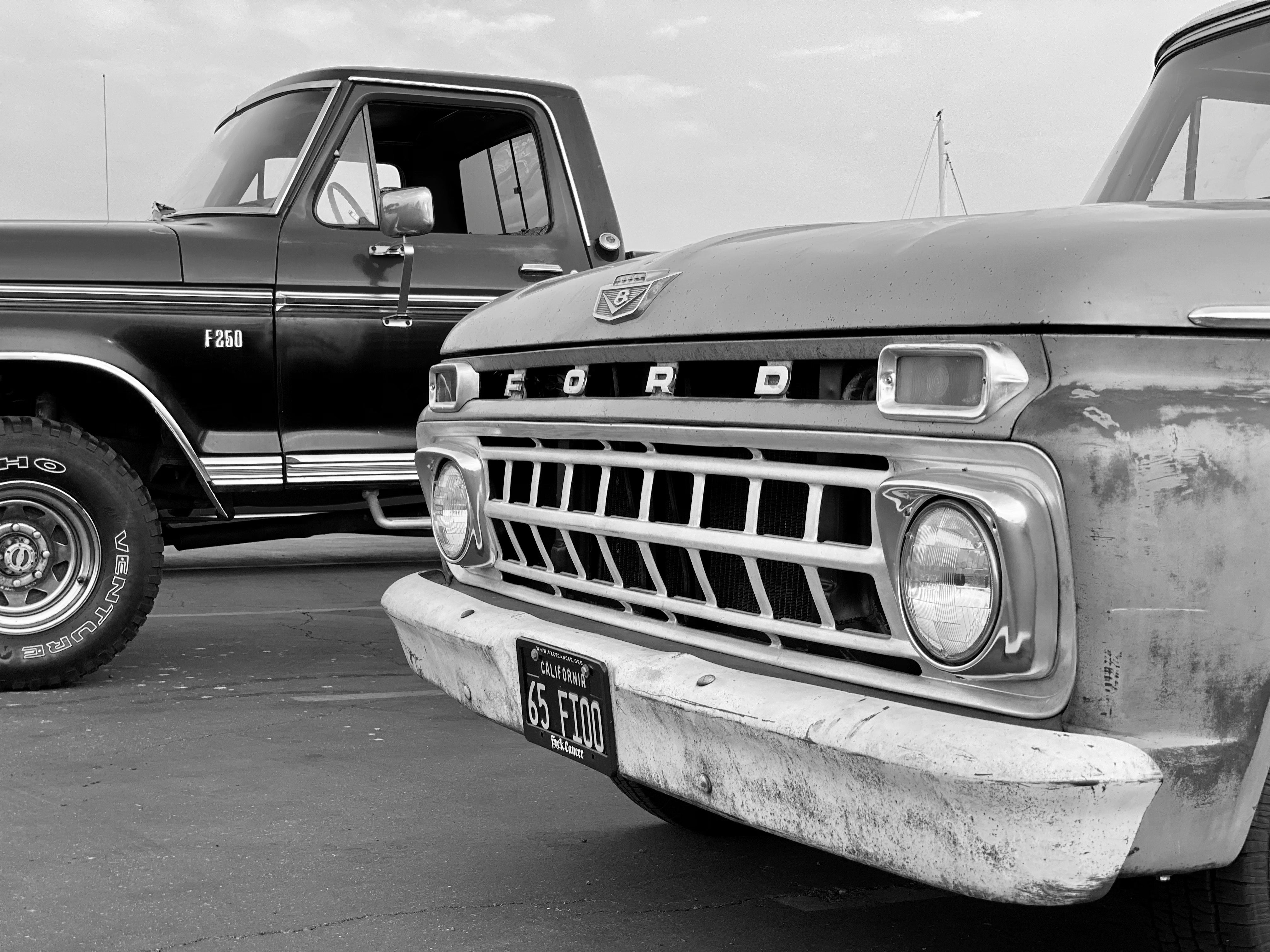 Three Fords