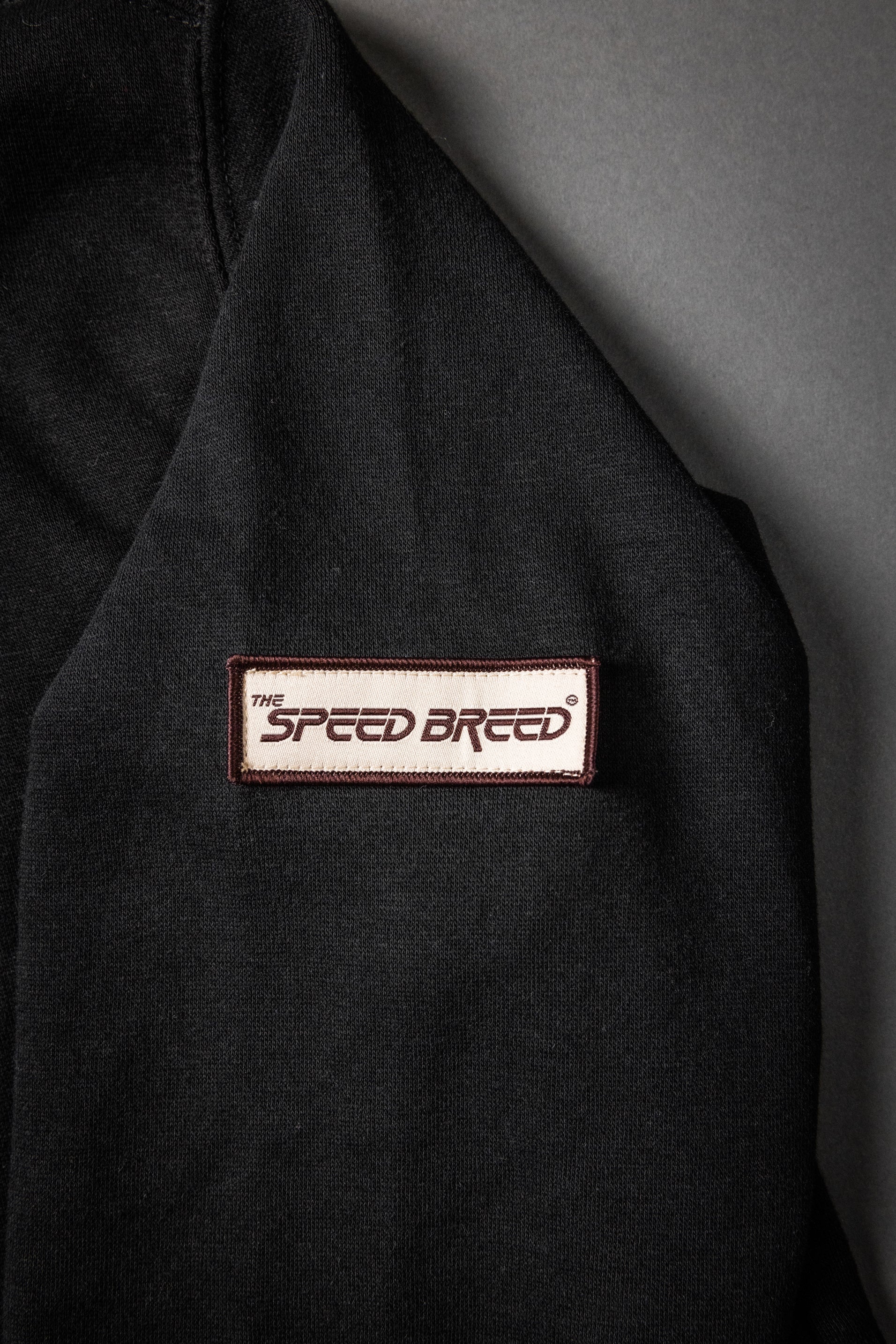 CHARIOTS EMBROIDERED QUARTER ZIP FLEECE PULLOVER (Black)