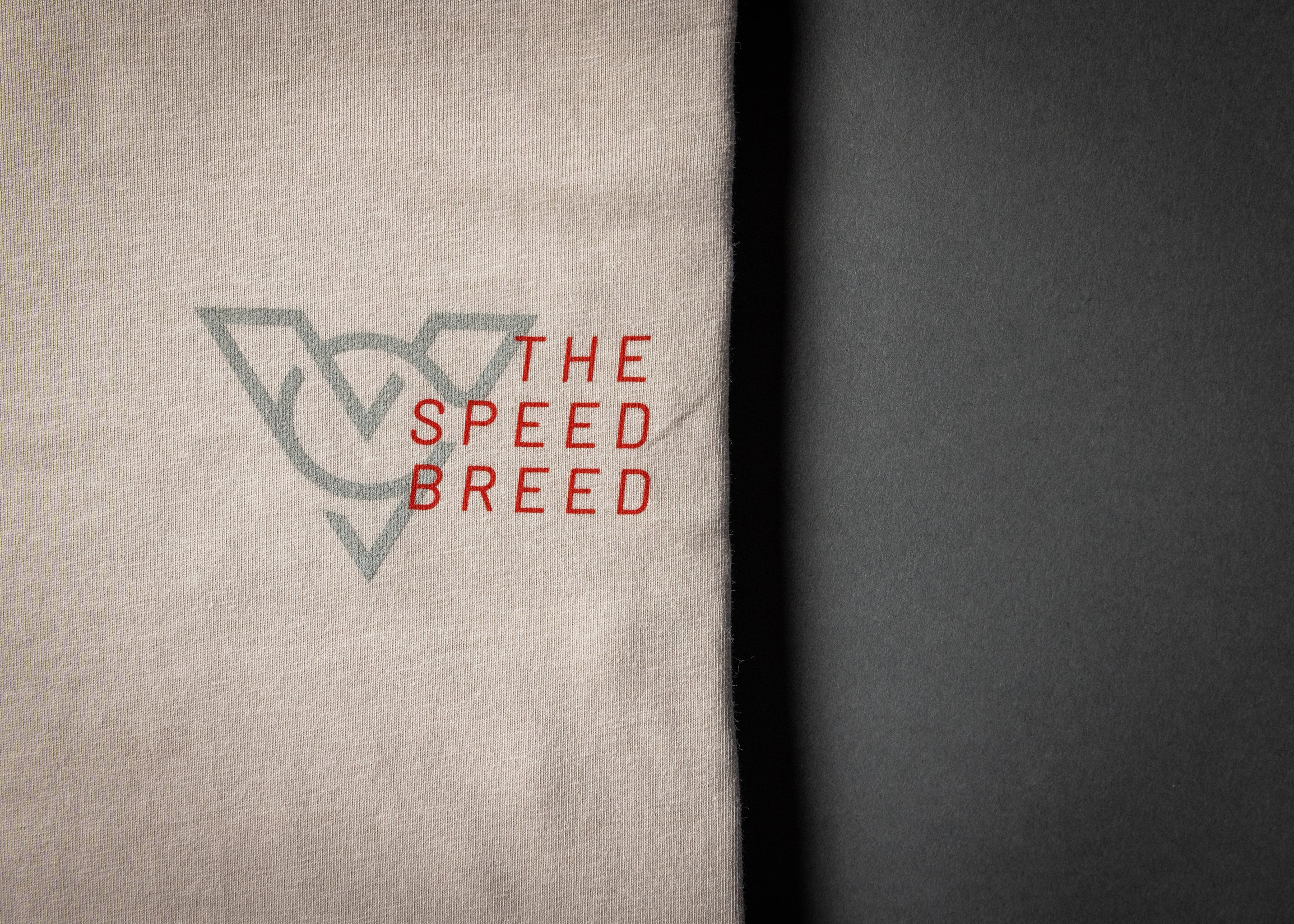 COUNTACH TEE (Bone)
