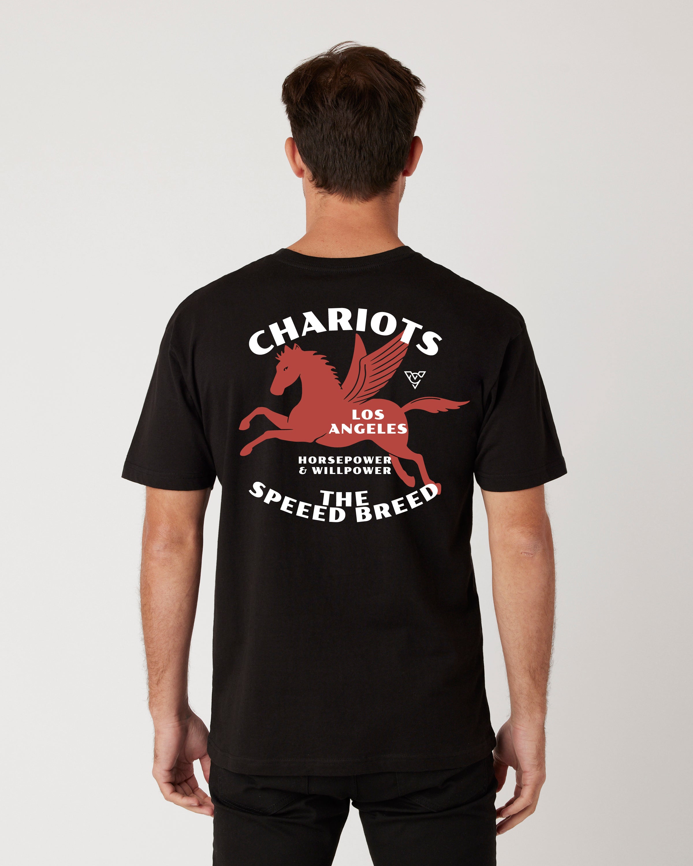 PEGASUS TEE (Black)