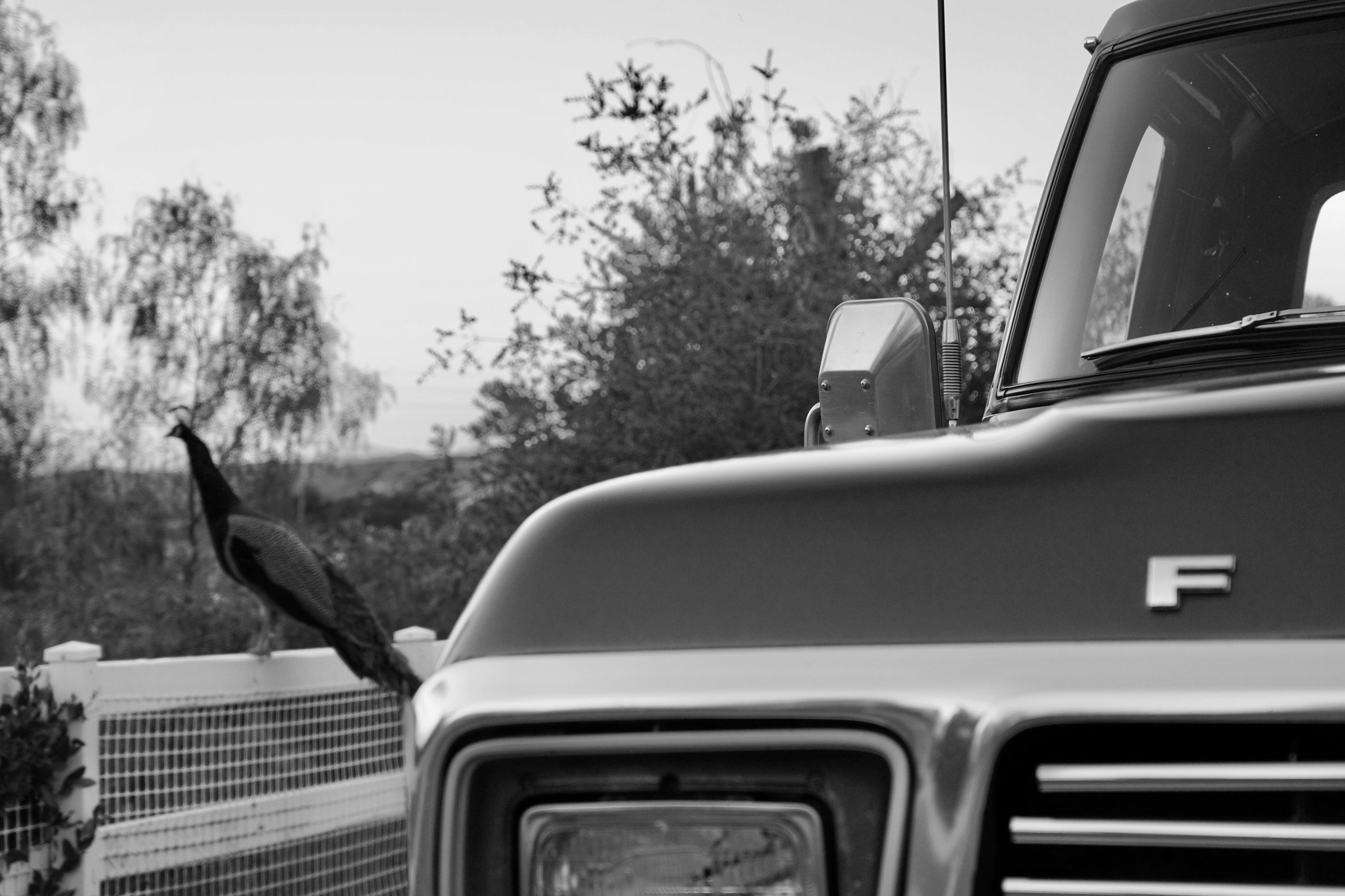 1979 Ford F-350 4x4 Ranger SuperCab FINE ART PRINT