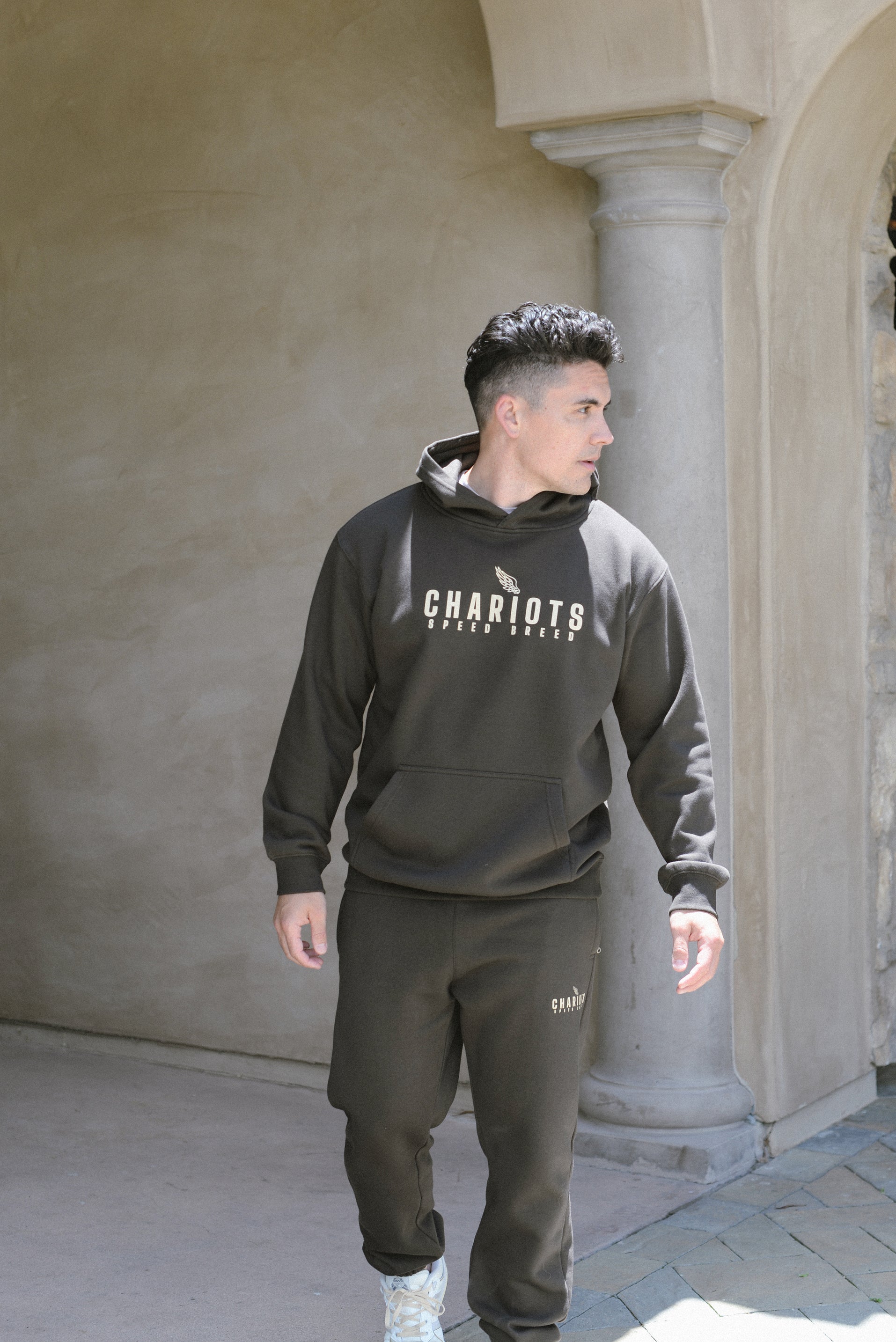 WINGS ULTIMAE PREMIUM PULLOVER HOODIE (Tobacco)