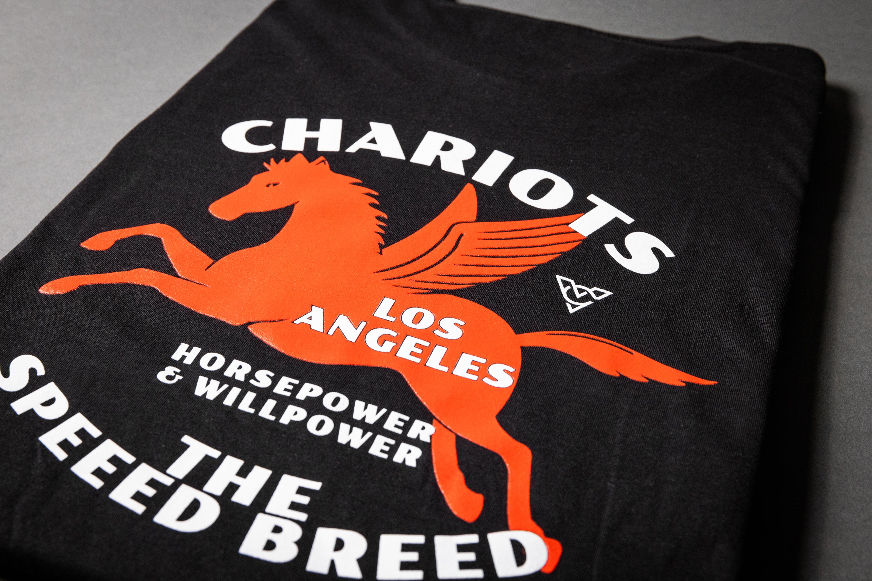 PEGASUS TEE (Black)
