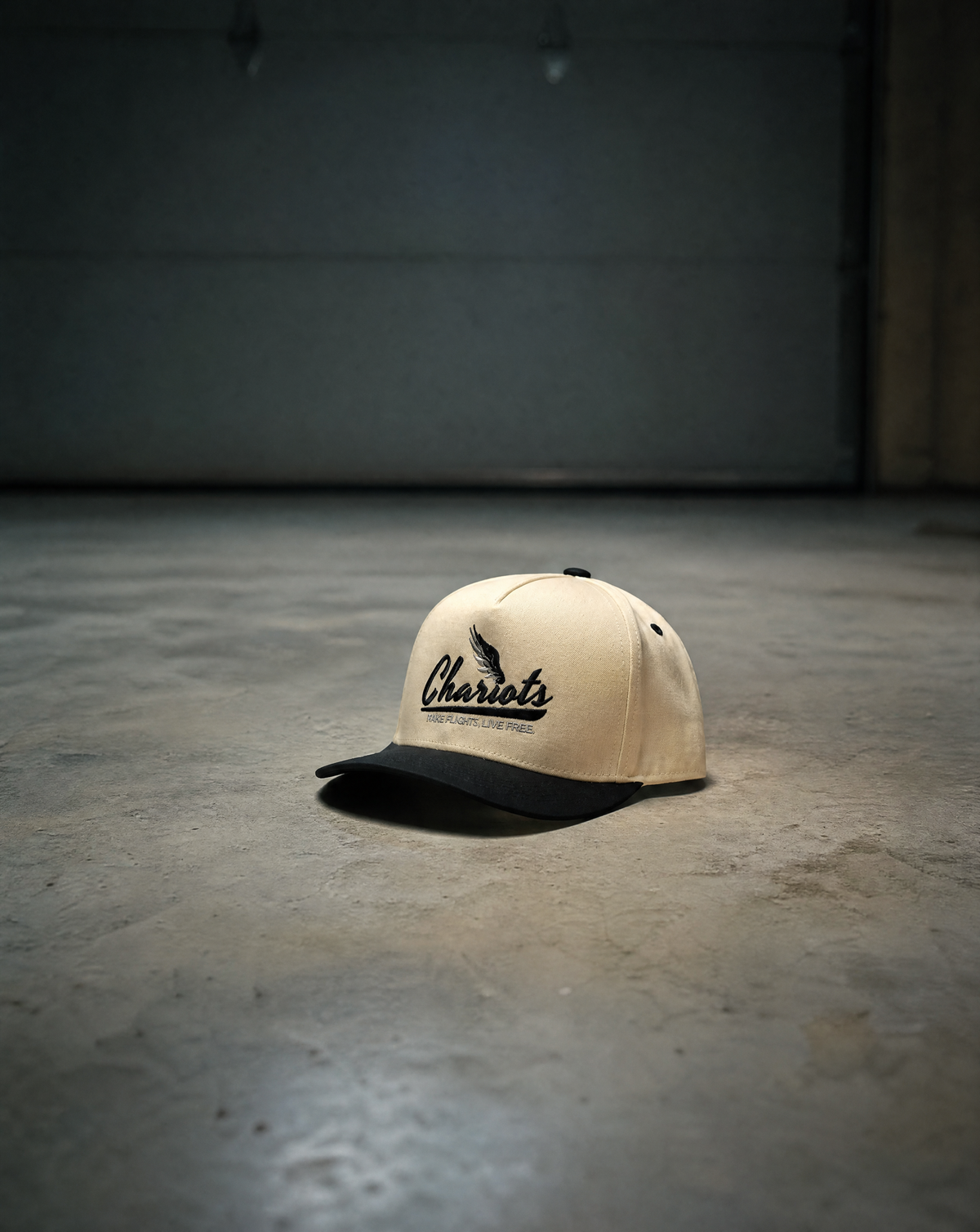 TAKE FLIGHT 5 PANEL HAT (Natural/Black)