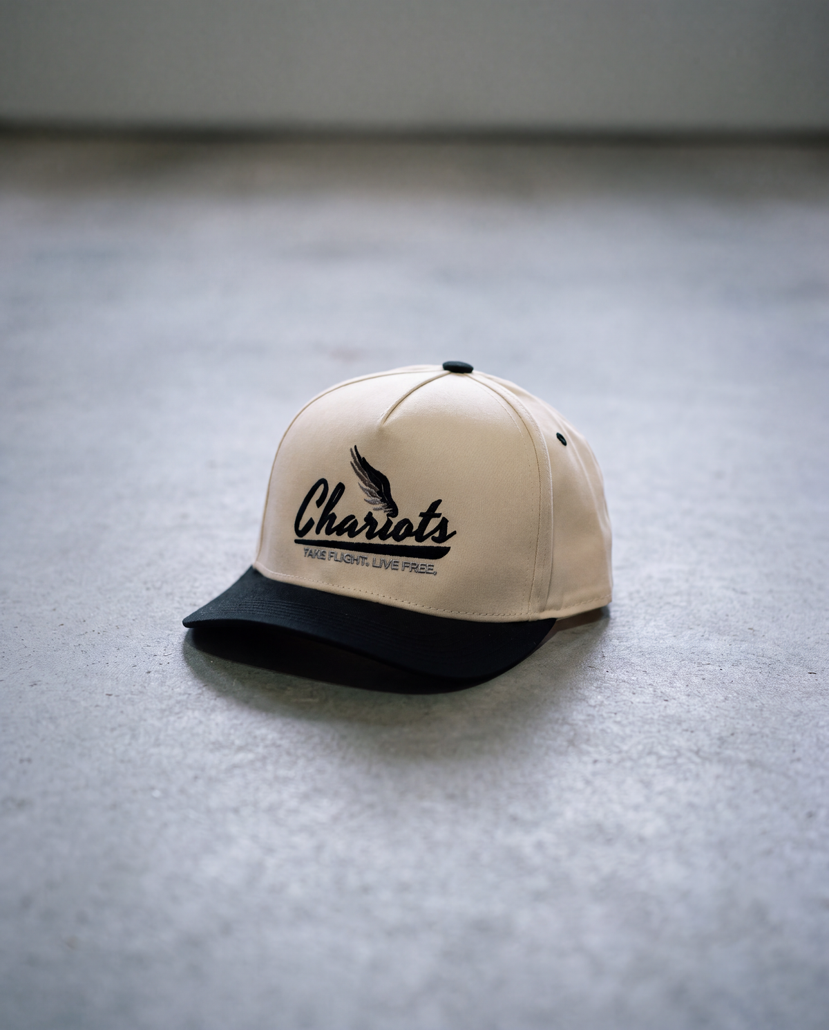 TAKE FLIGHT 5 PANEL HAT (Natural/Black)