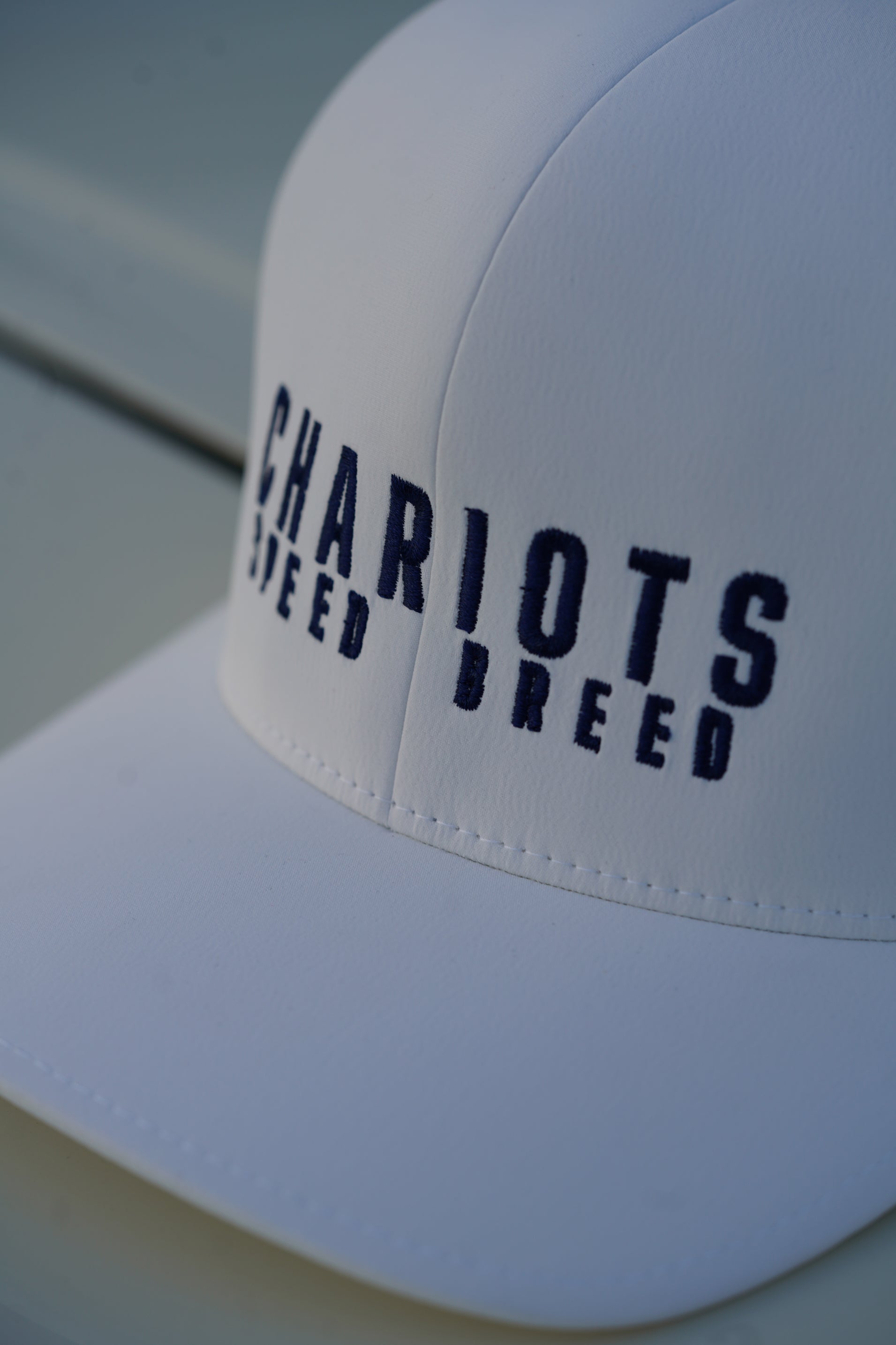 APEX FLEXFIT DELTA HAT (Alpine White/Navy)