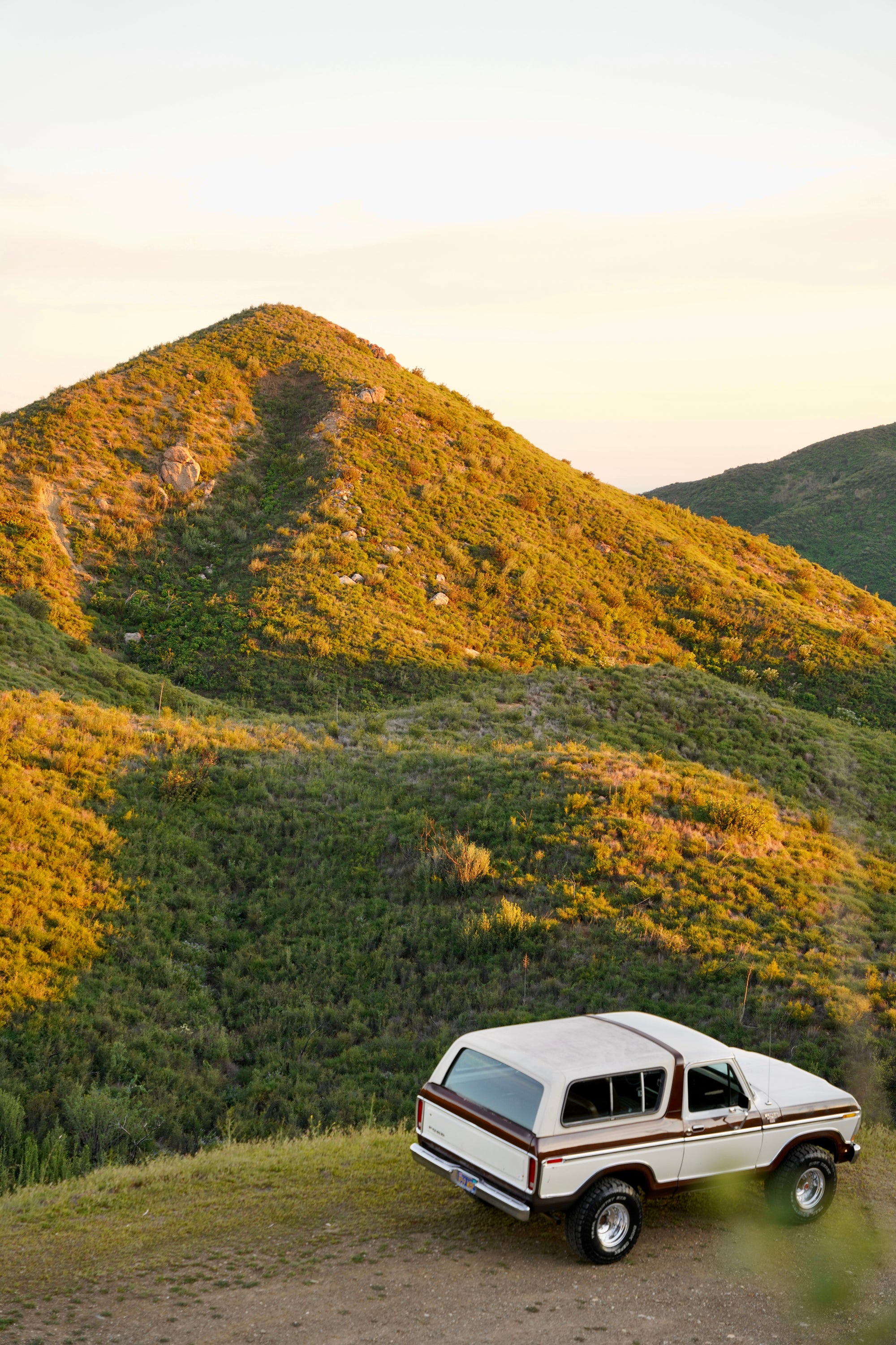 1978 Ford Bronco Dark Brown Metallic FINE ART PRINT