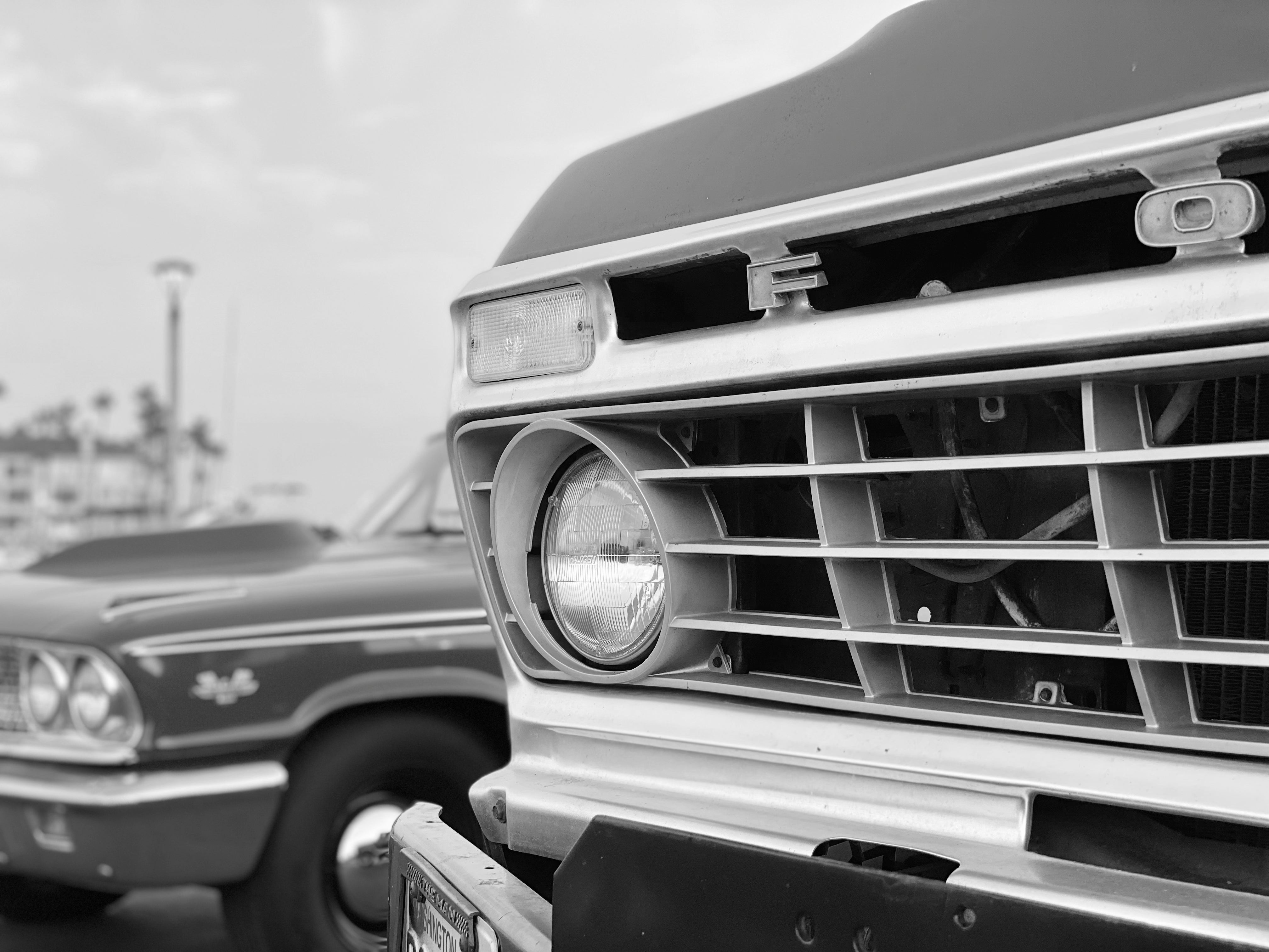 Three Fords