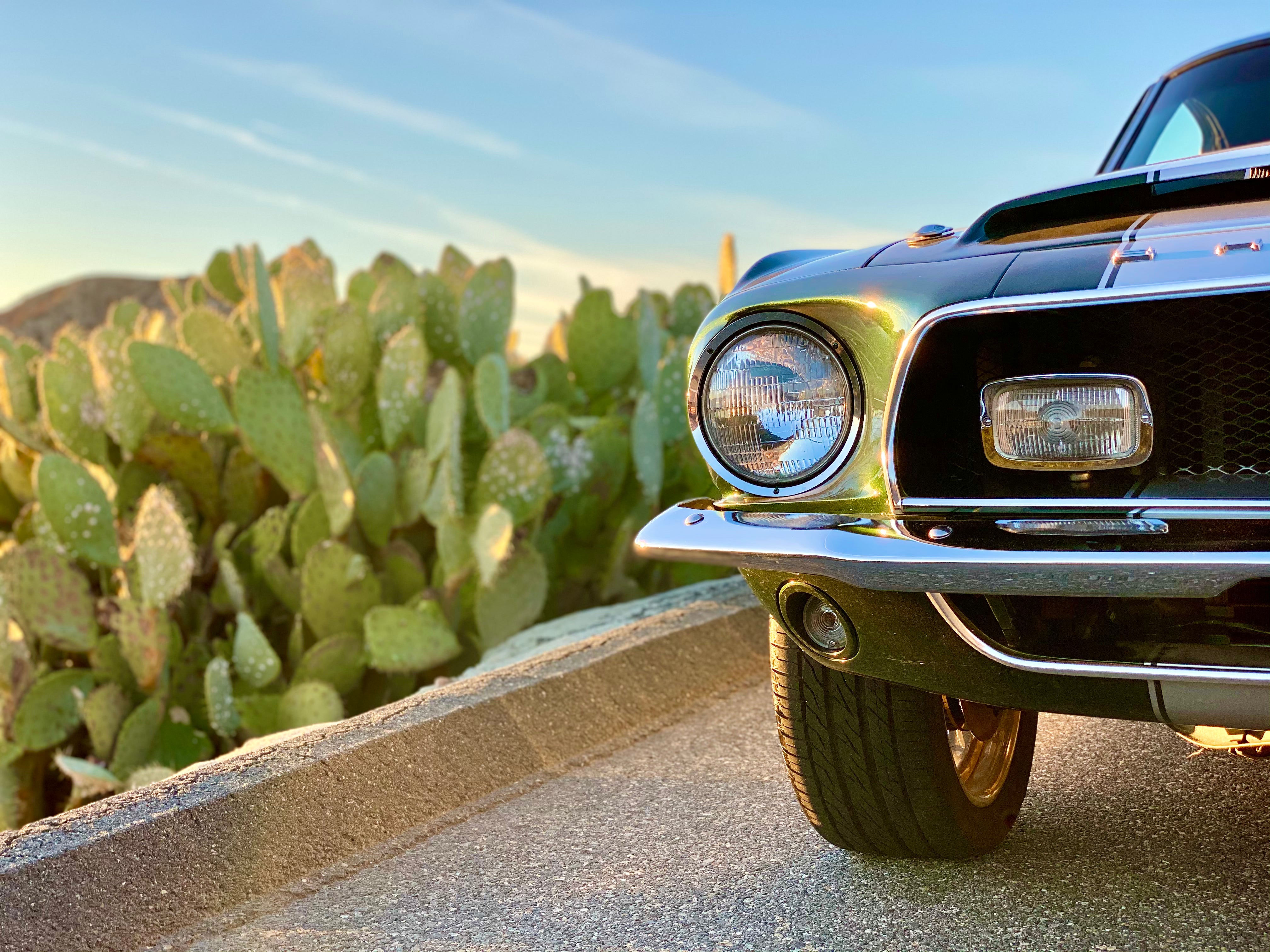 1968 Shelby Mustang GT350H FINE ART PRINT