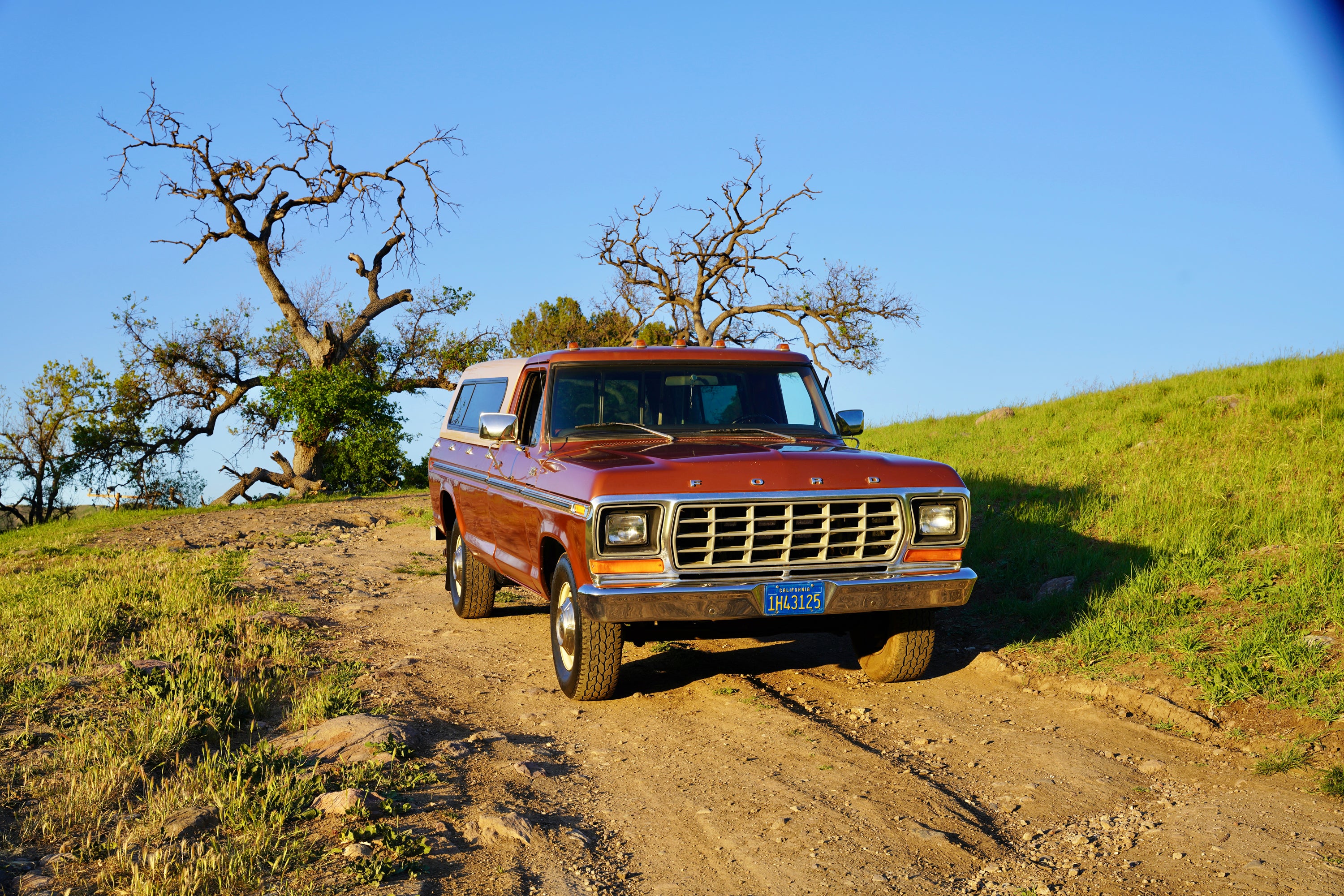1978 Ford F-350 Ranger Cinnamon FINE ART PRINT