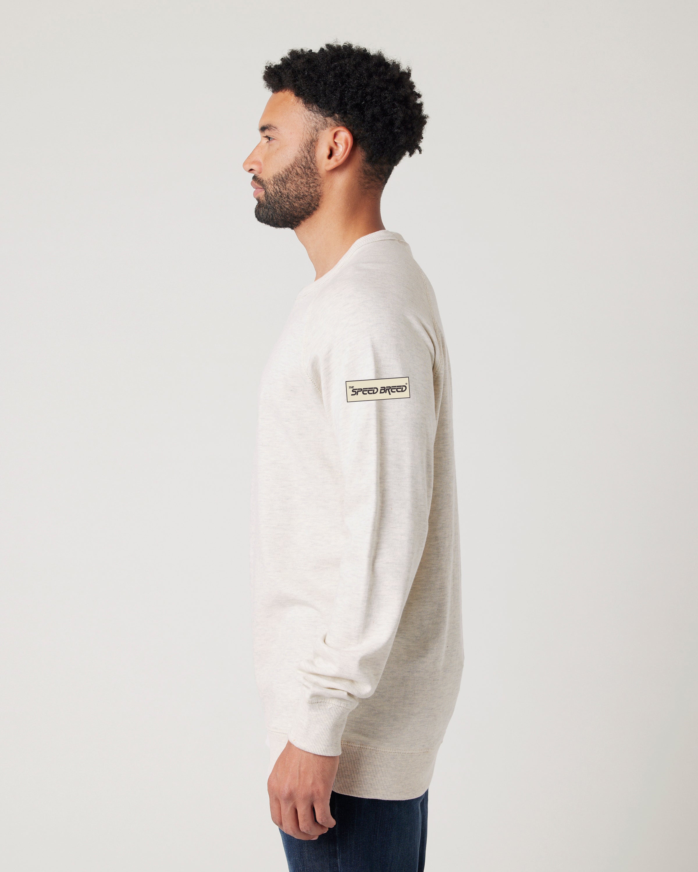 CHARIOTS EMBROIDERED UNISEX FRENCH TERRY CREW NECK SWEATER (Oatmeal Heather)
