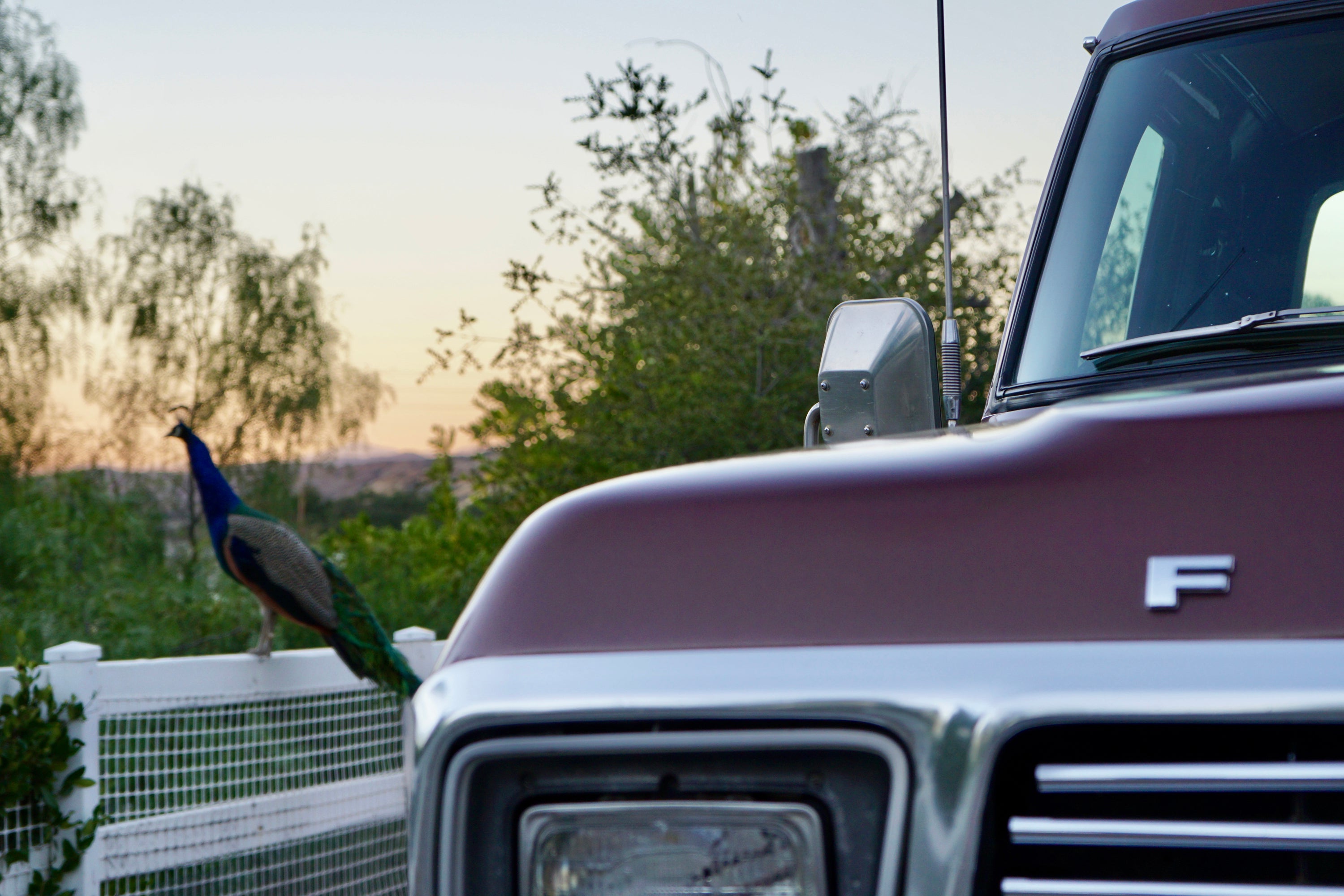 1979 Ford F-350 4x4 Ranger SuperCab FINE ART PRINT